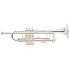 Bach 180S37 Trumpet