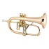Conn 1FRGP Vintage One Flugelhorn
