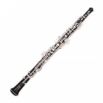 Fox 330G Renard Artist Grenadilla Full System Oboe