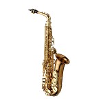 Yanagisawa AW02 Professional Alto Saxophone, Bronze