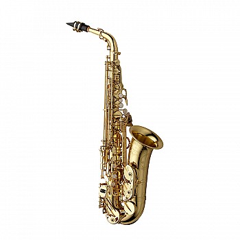 Yanagisawa AW010 Professional Alto Saxophone
