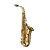 Yanagisawa AW010 Professional Alto Saxophone