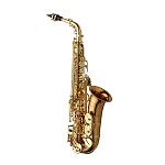 Yanagisawa AW020 Professional Alto Saxophone, Bronze