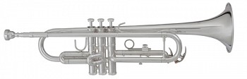 Blessing BTR1460G Trumpet, Slv w/Gold Trim