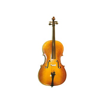 1/2 Size Cello (Used, Good)