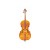 Beginner Major Brand Student Cellos