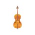 Beginner Strunal 3/4 Size Cello