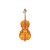 Beginner 3/4 Size Cello