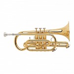 Beginner Major Brand Student Cornet