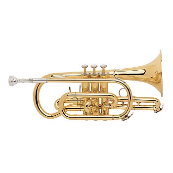 Beginner Major Brand Student Cornet