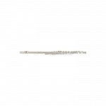 Beginner Band Major Brand Student Flutes