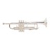 Bach LR180 Stradivarius Reverse Trumpet