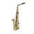 Prelude PAS111 Alto Saxophone
