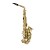 Prelude PAS111 Alto Saxophone
