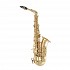 Selmer SAS511 Alto Saxophone