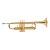 New Beginner Major Brand USA Trumpet