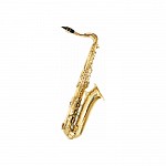Beginner Student Major Brand Tenor Sax