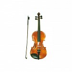 Beginner Strunal Violin