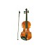 Beginner Orchestra Student Violins