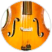 Beginner Cellos