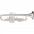 Jupiter 1602RSR XO Pro Trumpet, Slv w/Rose Bell & Rev Leadpipe