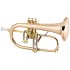 Conn 1FG Vintage One Flugelhorn