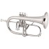 Conn 1FGSP Vintage One Flugelhorn