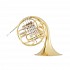 Beginner Premium Brand Double French Horn, Brass