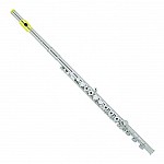 Armstrong 800B Flute, Open Hole