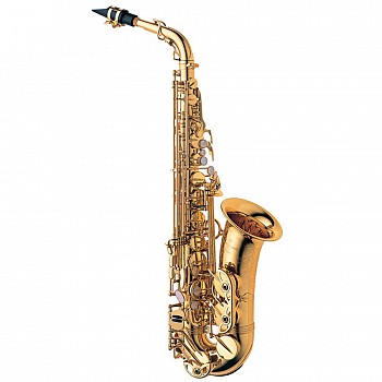 Yanagisawa AW010/AW020 Professional Alto Saxophone