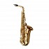Yanagisawa AW02 Professional Alto Saxophone, Bronze