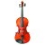 Beginner-Viola1.jpg
