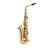 Conn CAS211 Student Alto Saxophone