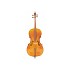 Beginner 3/4 Size Cello