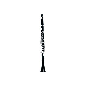 New Beginner Premium Brand Bb Clarinet, Plastic