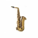 Major Brand Student Alto Saxophone