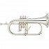 Yamaha YFH8315IIGS Pro Custom Flugelhorn, Slv