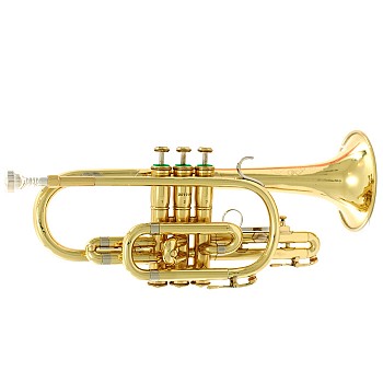 Major Brand Refinish Cornet