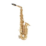 Selmer SAS511 Alto Saxophone