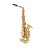Selmer SAS511 Alto Saxophone