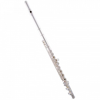 Selmer SFL301R Student Flute, Open Hole
