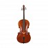 Scherl & Roth SR65E4H 4/4 Step-Up Cello