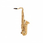 Selmer TS200 USA Intermediate Tenor Saxophone