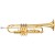 New Beginner Premium Brand Trumpet