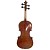 Eastman 4/4 VL605SBC Professional Violin