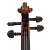 Eastman 4/4 VL605SBC Professional Violin