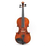 Eastman 4/4 VL405SBC Advanced Violin